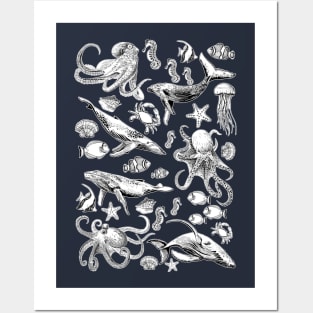 sea life Posters and Art